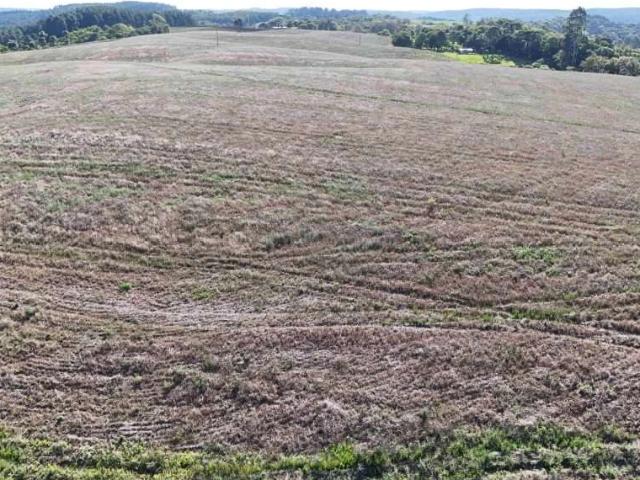 Sítio e chácara venda em Guarapuava, Região Geográfica Intermediária de Guarapuava