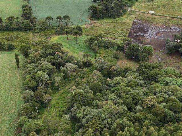 Sítio e chácara venda em Guarapuava, Região Geográfica Intermediária de Guarapuava