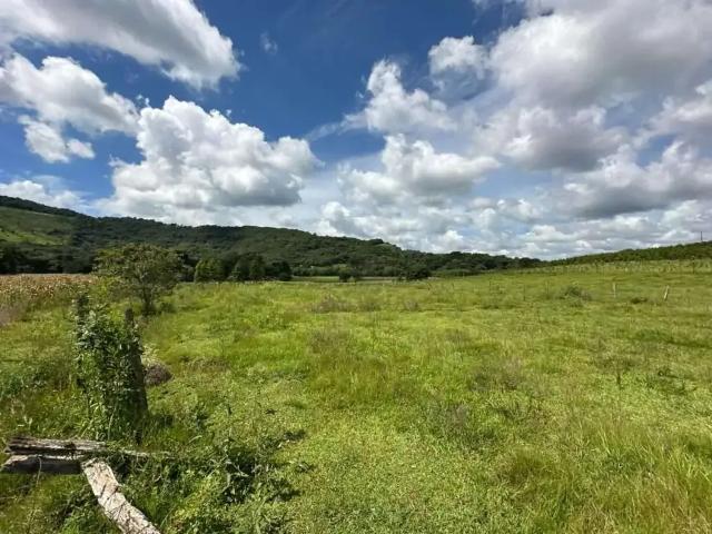 Sítio e chácara venda em Região Geográfica Imediata de Guarapuava, Guarapuava