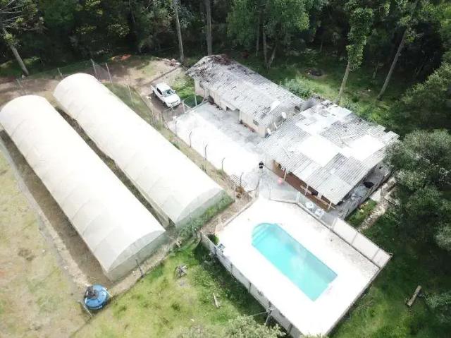 Sítio e chácara venda em Região Geográfica Imediata de Guarapuava, Guarapuava