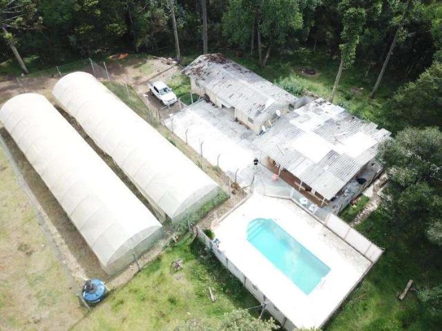 Sítio e chácara venda em Guarapuava, Região Geográfica Intermediária de Guarapuava
