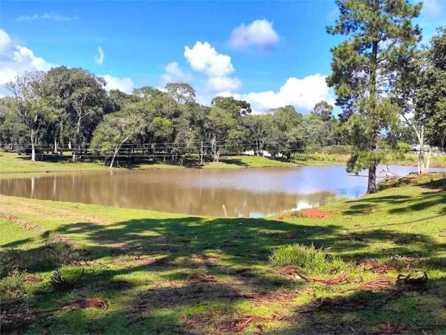 Sítio e chácara venda em Guarapuava, Região Geográfica Intermediária de Guarapuava
