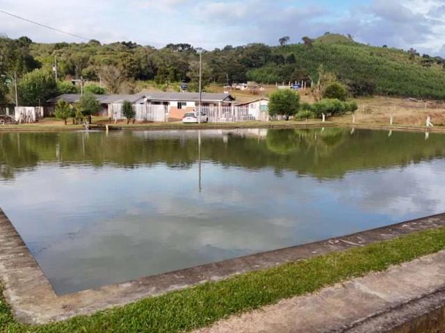 Sítio e chácara venda em Guarapuava, Região Geográfica Intermediária de Guarapuava