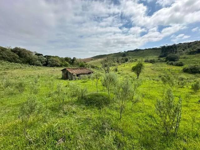 Sítio e chácara venda em Região Geográfica Imediata de Guarapuava, Guarapuava