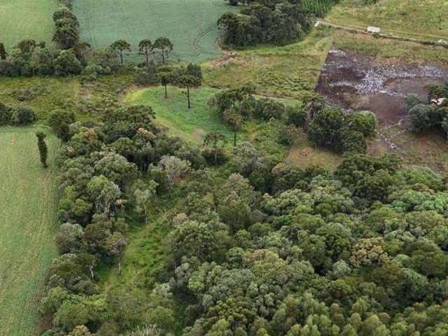 Sítio e chácara venda em Região Geográfica Imediata de Guarapuava, Guarapuava