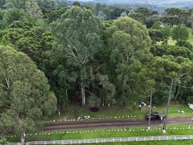 Sítio e chácara venda em Região Geográfica Imediata de Guarapuava, Guarapuava