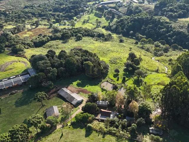 Sítio e chácara venda em Guarapuava, Região Geográfica Intermediária de Guarapuava