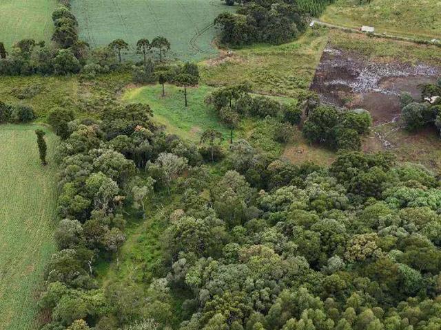 Sítio e chácara venda em Região Geográfica Imediata de Guarapuava, Guarapuava