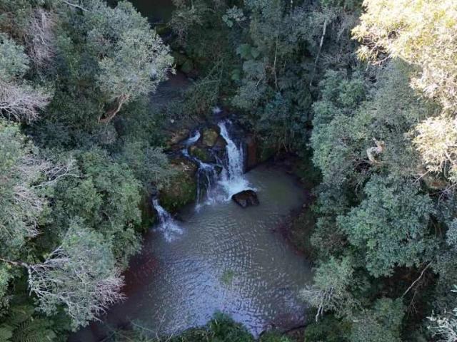 Sítio e chácara venda em Guarapuava, Região Geográfica Intermediária de Guarapuava