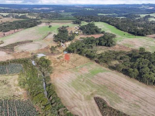 Sítio e chácara venda em Guarapuava, Região Geográfica Intermediária de Guarapuava
