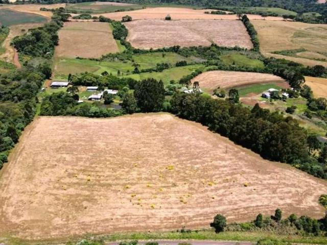 Sítio e chácara venda em Guarapuava, Região Geográfica Intermediária de Guarapuava