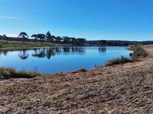 Sítio e chácara venda em Guarapuava, Região Geográfica Intermediária de Guarapuava