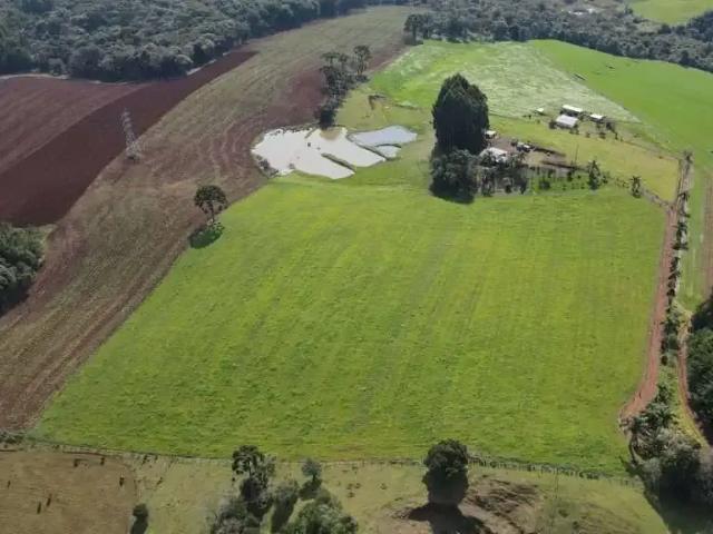 Sítio e chácara venda em Região Geográfica Imediata de Guarapuava, Guarapuava