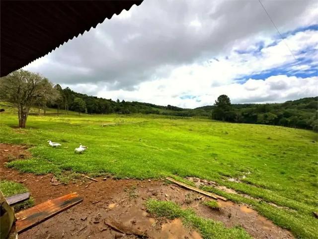 Sítio e chácara venda em Região Geográfica Imediata de Guarapuava, Guarapuava
