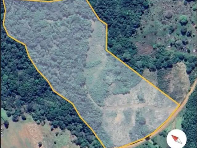 Sítio e chácara venda em Região Geográfica Imediata de Guarapuava, Guarapuava