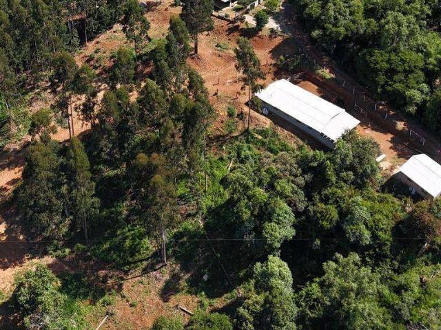 Sítio e chácara venda em Região Geográfica Imediata de Guarapuava, Guarapuava