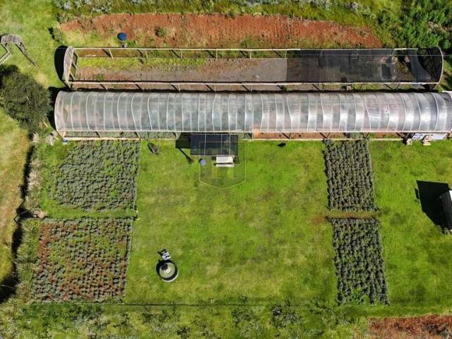 Sítio e chácara venda em Região Geográfica Imediata de Guarapuava, Guarapuava