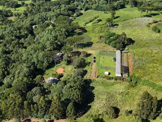 Sítio e chácara venda em Região Geográfica Imediata de Irati, Irati