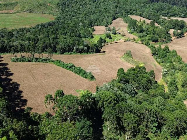 Sítio e chácara venda em Região Geográfica Imediata de Guarapuava, Guarapuava