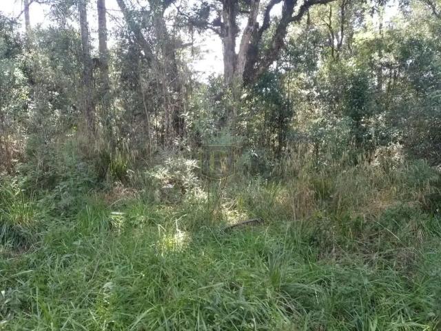 Sítio e chácara venda em Região Geográfica Imediata de Guarapuava, Guarapuava