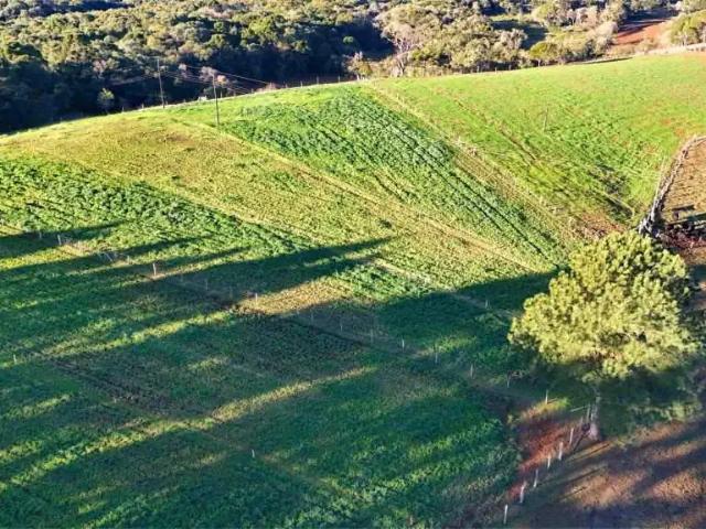 Sítio e chácara venda em Região Geográfica Imediata de Guarapuava, Guarapuava