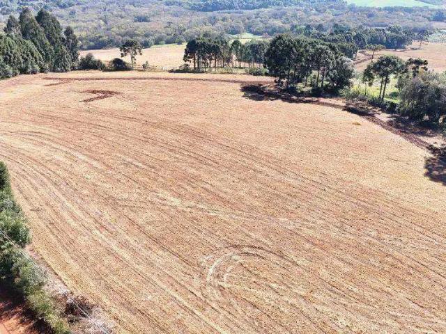 Sítio e chácara venda em Região Geográfica Imediata de Guarapuava, Guarapuava