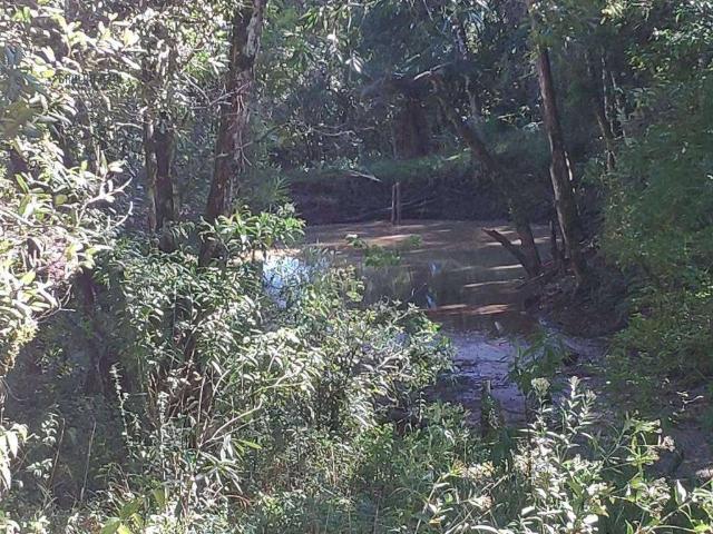 Sítio e chácara venda em Região Geográfica Imediata de Guarapuava, Guarapuava
