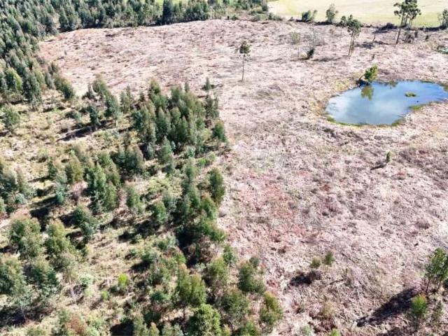 Sítio e chácara venda em Guarapuava, Região Geográfica Intermediária de Guarapuava