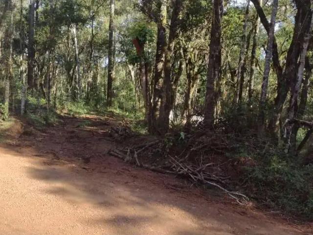 Sítio e chácara venda em Região Geográfica Imediata de Guarapuava, Guarapuava