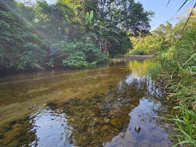Sítio e chácara venda em Região Geográfica Imediata de Paranaguá, Morretes