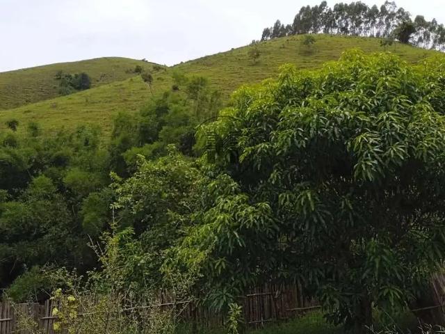 Sítio e chácara venda em Região Imediata de Guaratinguetá, Região Metropolitana do Vale do Paraíba e Litoral Norte
