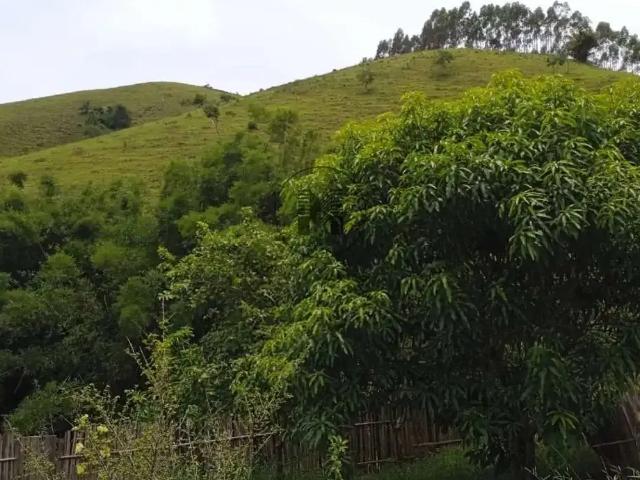 Sítio e chácara venda em Guaratinguetá, Região Geográfica Intermediária de São José dos Campos