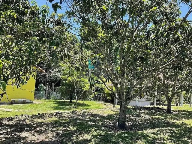 Sítio e chácara venda em Região Imediata de Guaratinguetá, Região Metropolitana do Vale do Paraíba e Litoral Norte