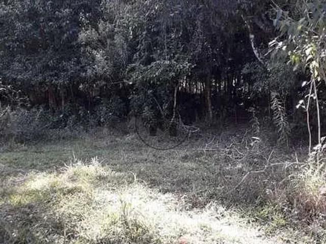 Sítio e chácara venda em Região Imediata de Guaratinguetá, Região Metropolitana do Vale do Paraíba e Litoral Norte