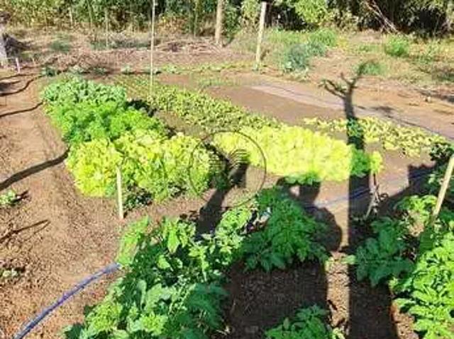 Sítio e chácara venda em Região Imediata de Guaratinguetá, Região Metropolitana do Vale do Paraíba e Litoral Norte