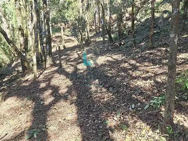 Sítio e chácara venda em Região Imediata de Guaratinguetá, Região Metropolitana do Vale do Paraíba e Litoral Norte