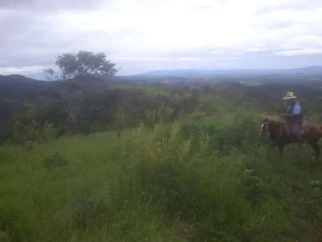 Sítio e chácara venda em Pedregulho, Guaratinguetá