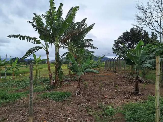 Sítio e chácara venda em Região Imediata de Guaratinguetá, Região Metropolitana do Vale do Paraíba e Litoral Norte