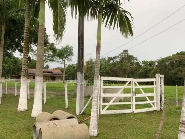 Sítio e chácara venda em Região Geográfica Imediata de Paranaguá, Guaratuba