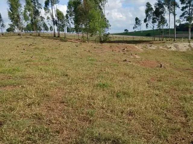 Sítio e chácara venda em Guareí