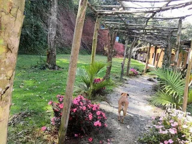 Sítio e chácara venda em Região Imediata de São Paulo, Região Metropolitana de São Paulo