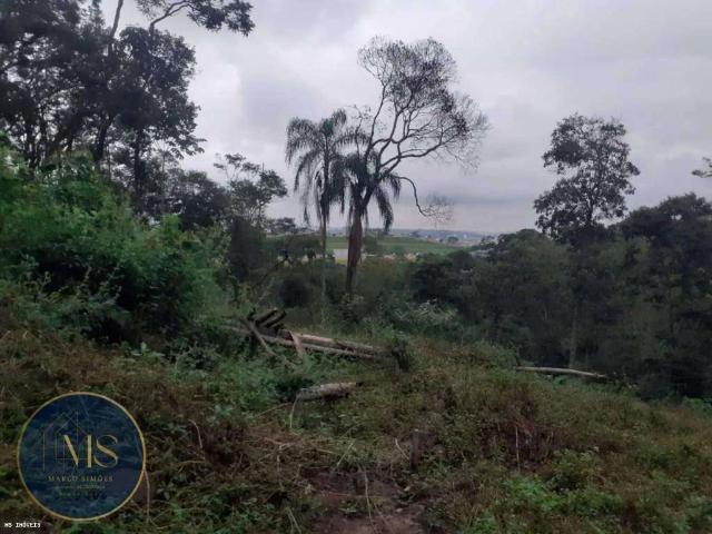 Sítio e chácara venda em Parque Santos Dumont, Guarulhos