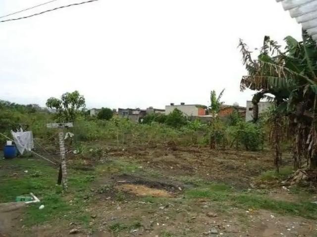 Sítio e chácara venda em Região Imediata de São Paulo, Região Metropolitana de São Paulo