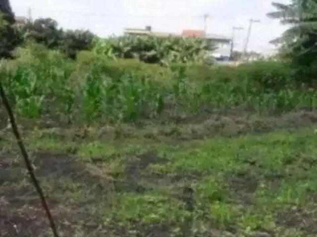 Sítio e chácara venda em Região Imediata de São Paulo, Região Metropolitana de São Paulo