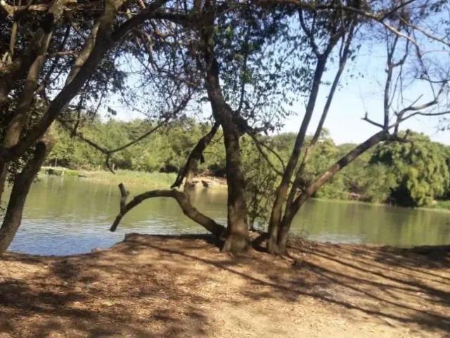 Sítio e chácara venda em Região Imediata de Ribeirão Preto, Região Metropolitana de Ribeirão Preto