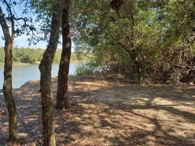 Sítio e chácara venda em Guatapará