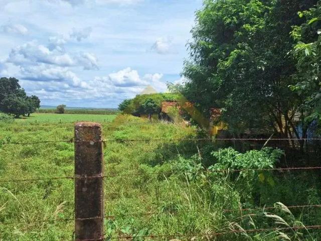 Sítio e chácara venda em Região Imediata de Ribeirão Preto, Região Metropolitana de Ribeirão Preto