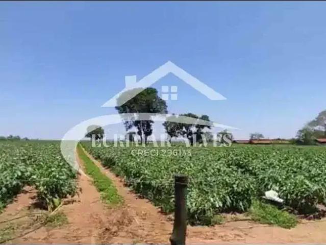 Sítio e chácara venda em Região Imediata de Ribeirão Preto, Região Metropolitana de Ribeirão Preto