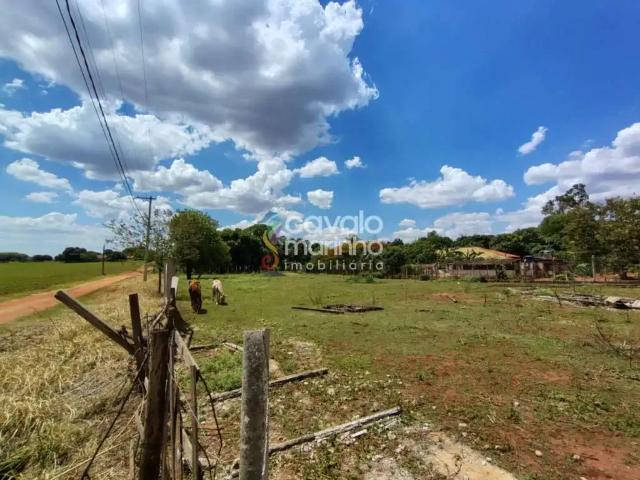 Sítio e chácara venda em Região Imediata de Ribeirão Preto, Região Metropolitana de Ribeirão Preto