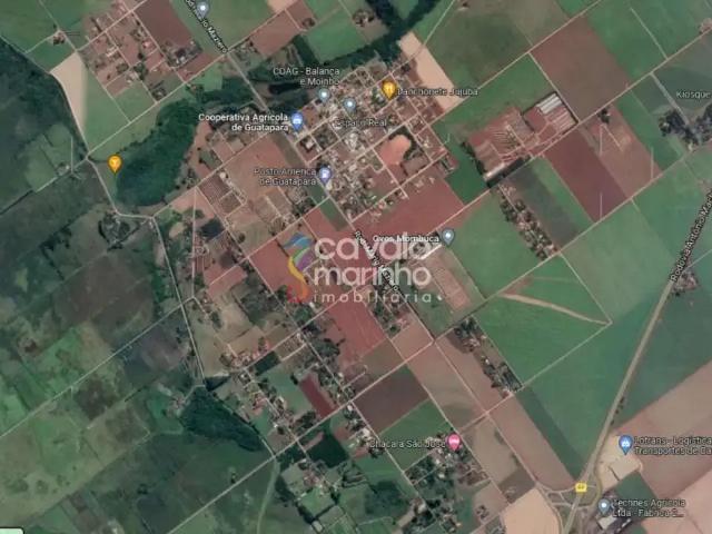 Sítio e chácara venda em Região Imediata de Ribeirão Preto, Região Metropolitana de Ribeirão Preto
